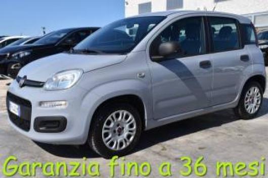 usato FIAT Panda