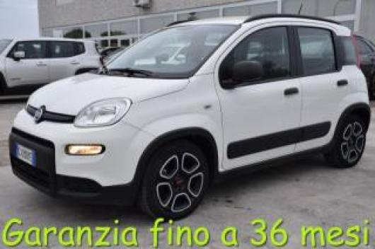 usato FIAT Panda