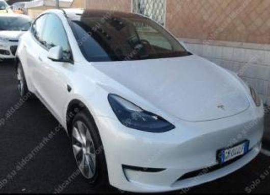 usato TESLA Model Y