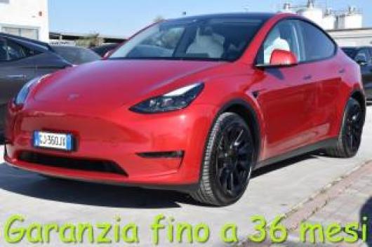 usato TESLA Model Y
