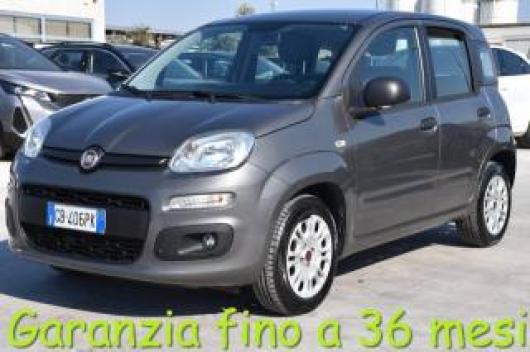 usato FIAT Panda