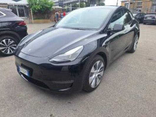 usato TESLA Model Y