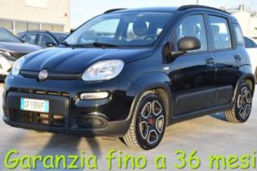 usato FIAT Panda