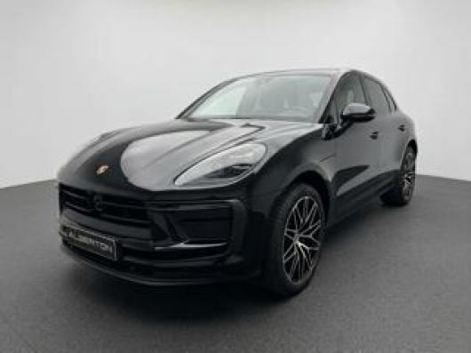 Macan