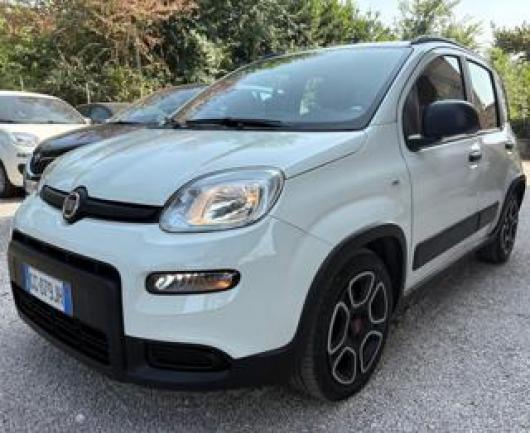 usato FIAT Panda