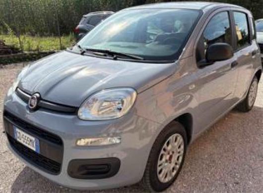 usato FIAT Panda
