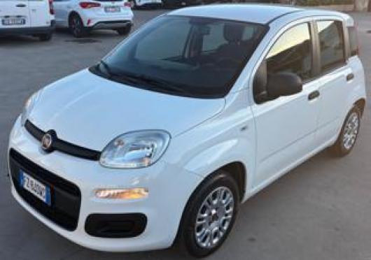 usato FIAT Panda