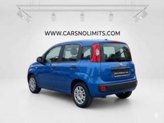 usato FIAT Panda
