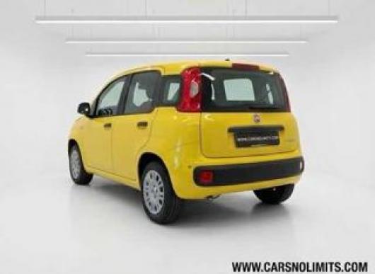 usato FIAT Panda