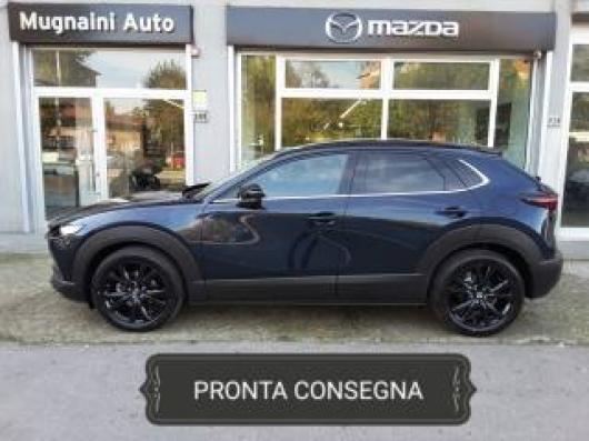 CX 30