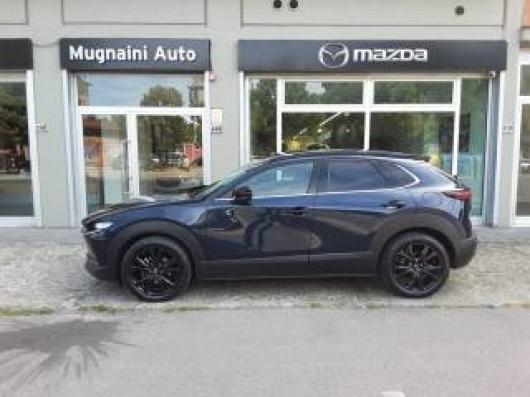 CX 30