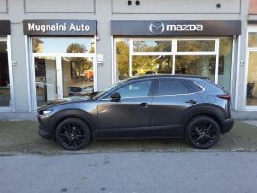 CX 30