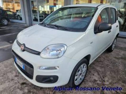 usato FIAT Panda