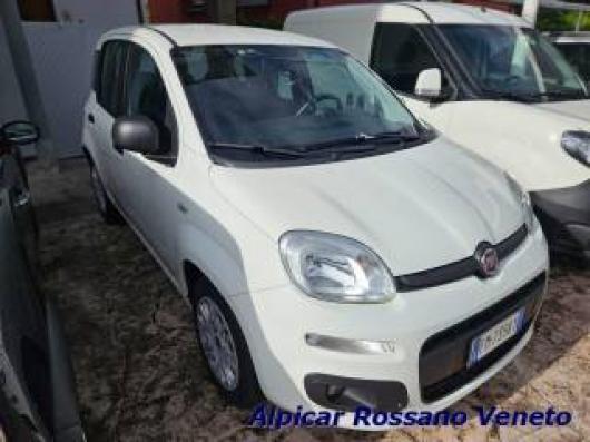 usato FIAT Panda