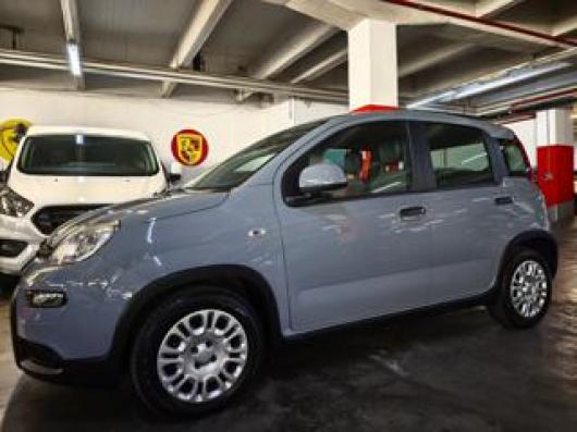 usato FIAT Panda