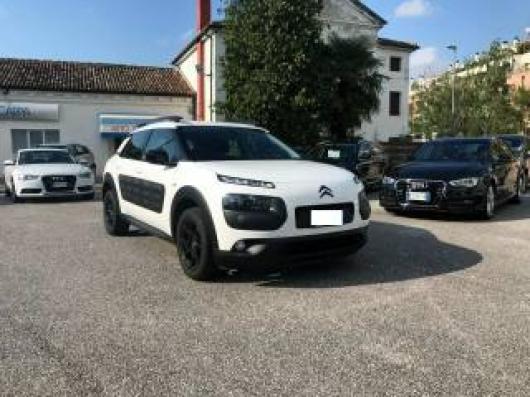 C4 Cactus