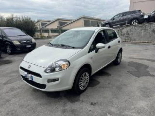 usato FIAT Punto