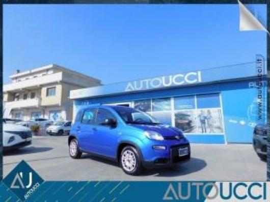 usato FIAT Panda
