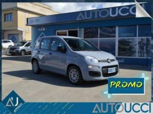 usato FIAT Panda