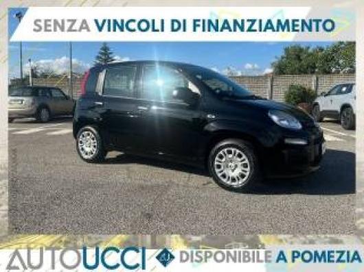 usato FIAT Pandina