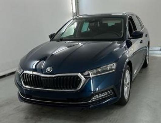 usato SKODA Octavia