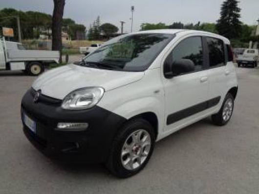 usato FIAT Panda