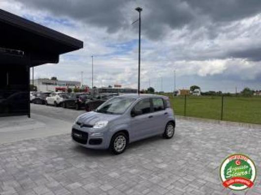 usato FIAT Panda