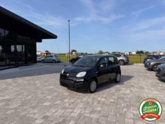 usato FIAT Panda