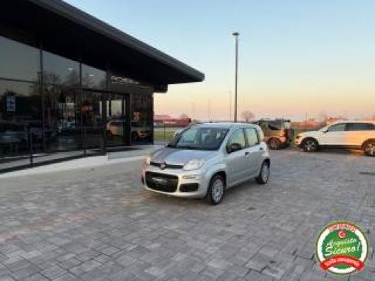 usato FIAT Panda