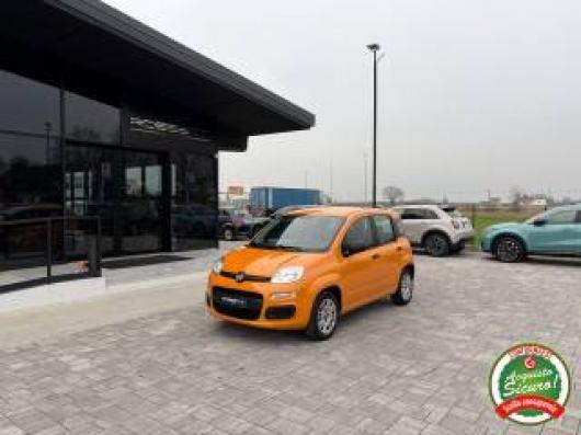 usato FIAT Panda