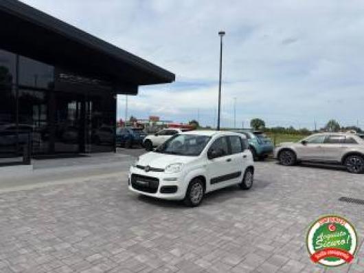 usato FIAT Panda