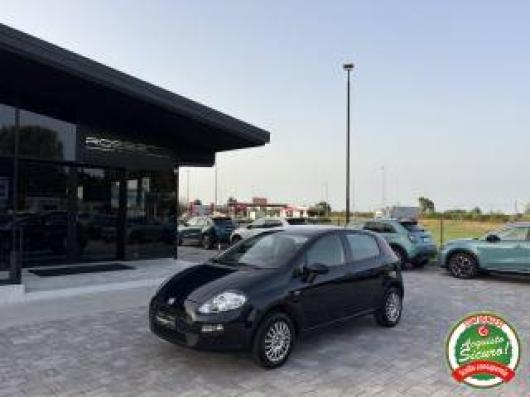 usato FIAT Punto
