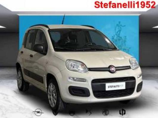 usato FIAT Panda