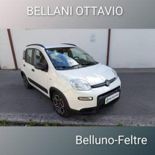 usato FIAT Panda