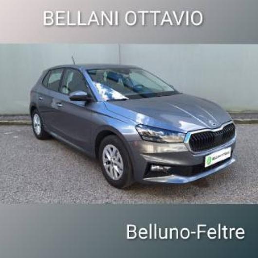 usato SKODA Fabia