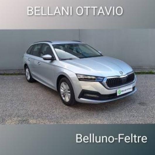 usato SKODA Octavia