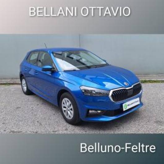 usato SKODA Fabia