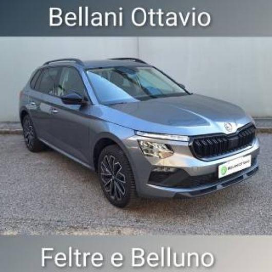 usato SKODA Kamiq