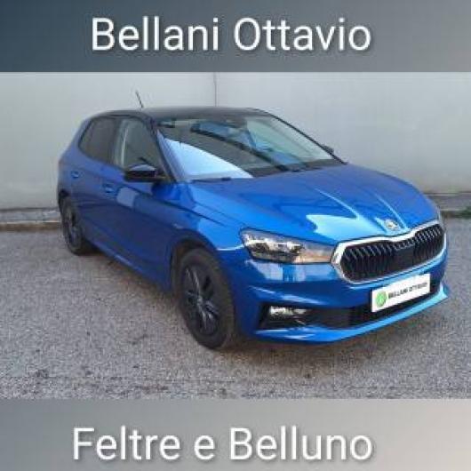 usato SKODA Fabia