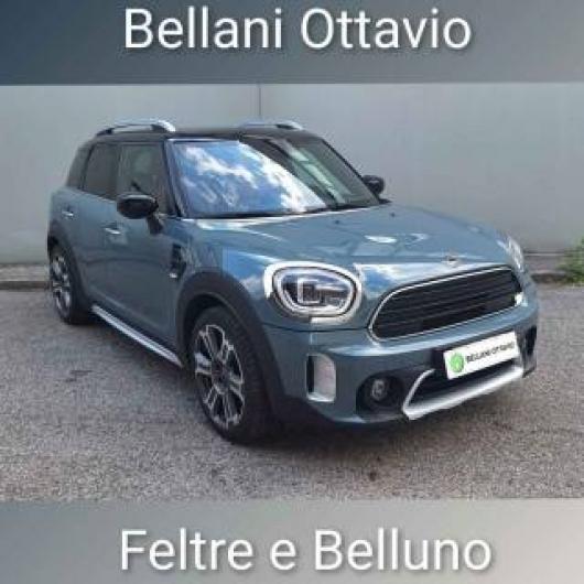 usato MINI Countryman