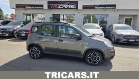 usato FIAT Panda