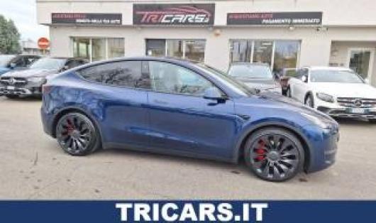 usato TESLA Model Y