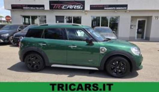 usato MINI Countryman