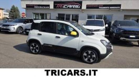 usato FIAT Panda
