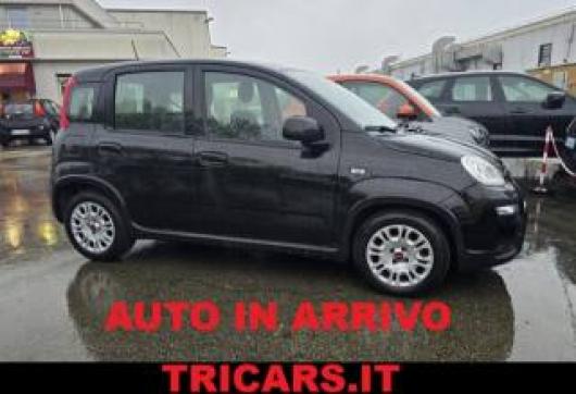 usato FIAT Panda