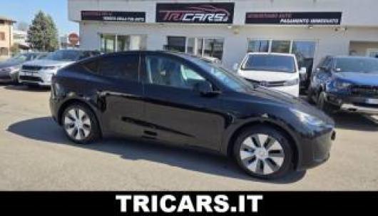 usato TESLA Model Y