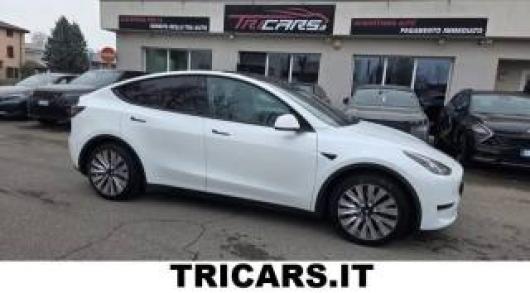 usato TESLA Model Y