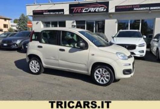 usato FIAT Panda