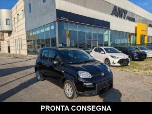 usato FIAT Panda