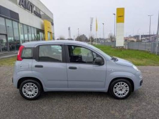 usato FIAT Panda